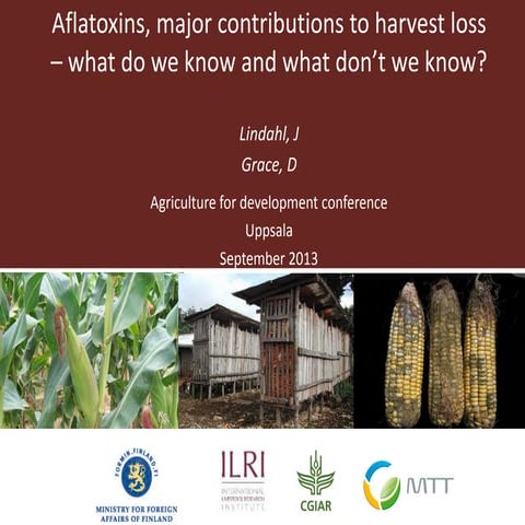 Johanna Lindahl, ILRI: Aflatoxins as major contributions to harvest loss – wh...