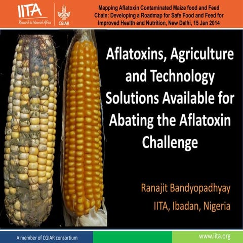 Aflatoxins agriculture and technology solutions available for abating the afl...