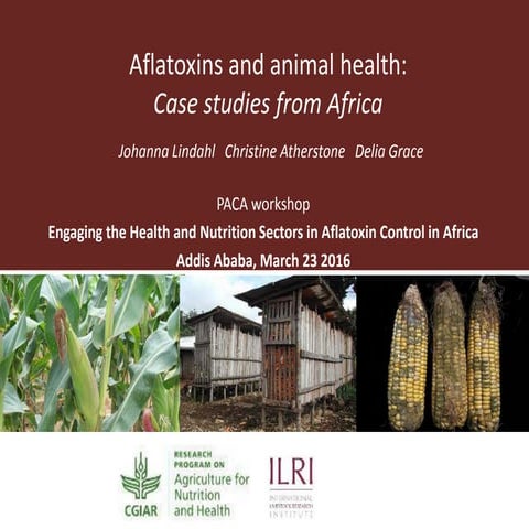 Aflatoxins and animal health: Case studies from Africa