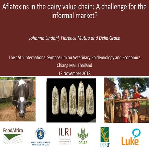 Aflatoxins in the dairy value chain: A challenge for the informal market?