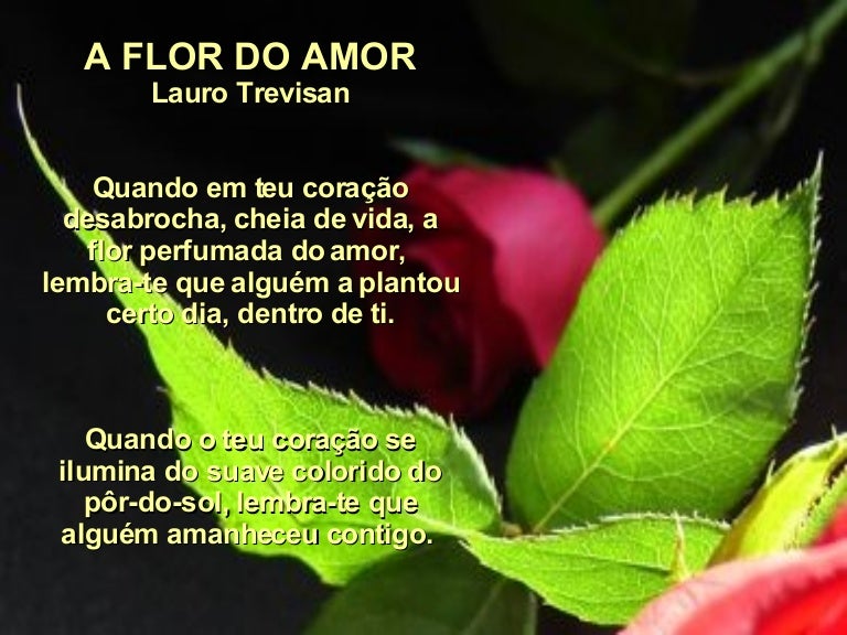 O Amor E Como Uma Flor Se Nao Regar Morre