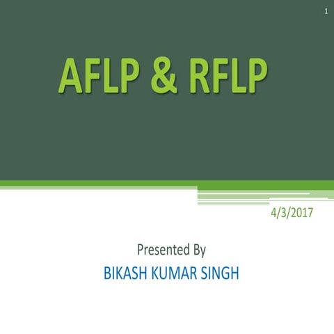 Aflp &amp; rflp (bikash kumar singh)