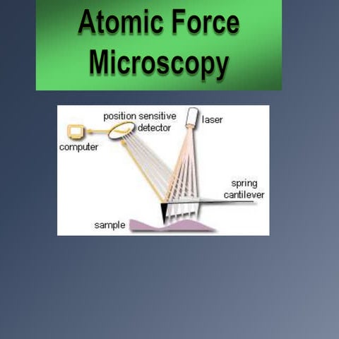 AFM.ppt