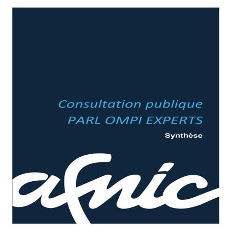 Afnic synthese consultation publique experts PARL OMPI