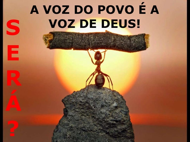 A voz do povo é a voz de Deus. Será?