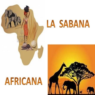 Africa