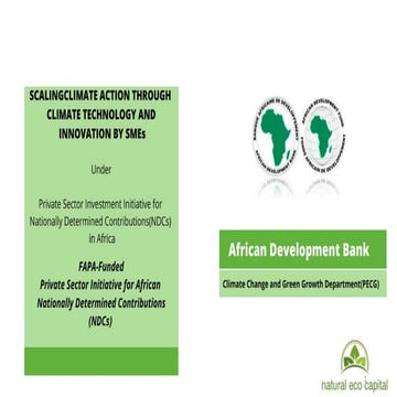 Scaling Climate Action through Technology and Innovation by SMEs for ...