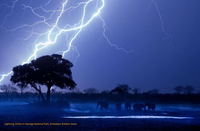 Africa Geographic Photographer of t...