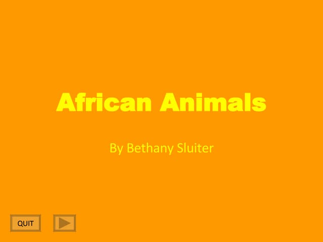 African Animals