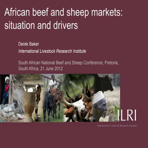 African beef and sheep markets: Situation and drivers