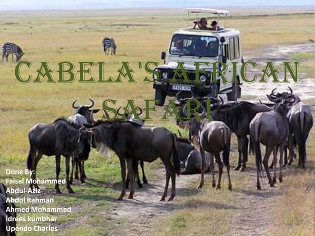 african safari service plan