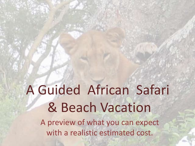African safari and beach vacation