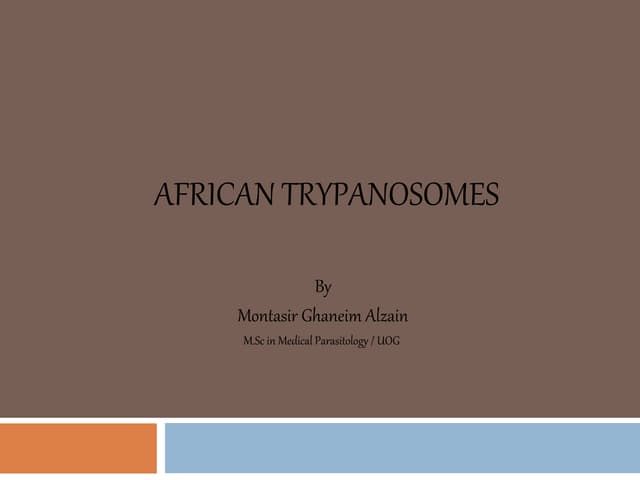 African trypanosoma