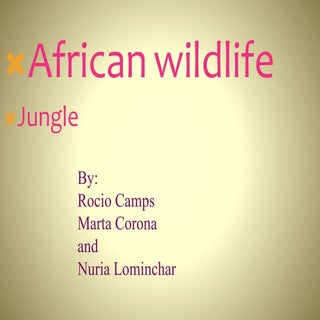 African wildlife