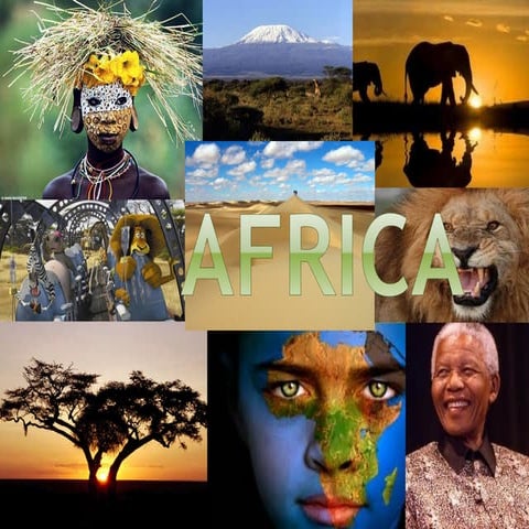 Africa review