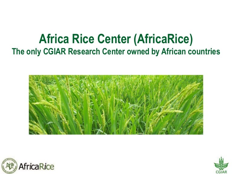 Africa Rice Center (AfricaRice)