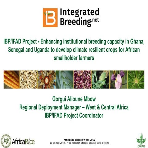 IBP/IFAD Project - Enhancing institutional breeding capacity in Ghana, Senega...