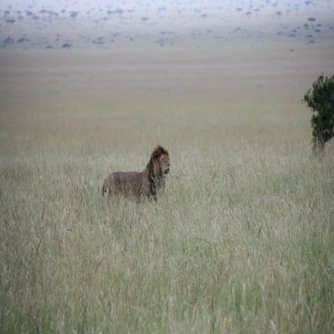 Africa road show 2015: Kasvavat Afrikan markkinat avautuvat Saharan eteläpuol...