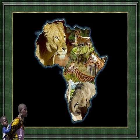 AFRICA