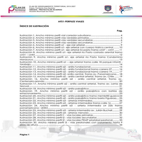Afs1 perfiles viales_v2 (1) | PDF
