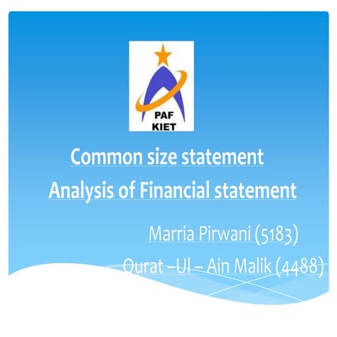Presentation on Common Size statement 