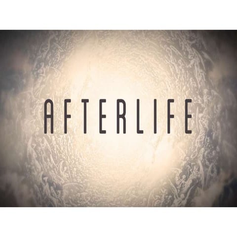The Afterlife