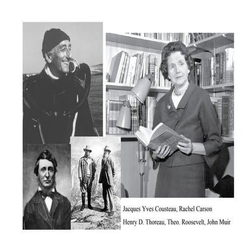 Green Careers - Jen Boudrie, Green Workforce Training