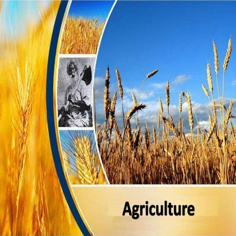 contribution of agriculture to the national economy employment and output 