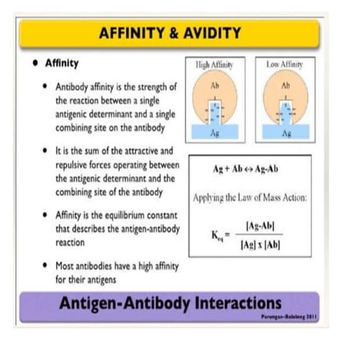 Ag-Ab interaction.pptx