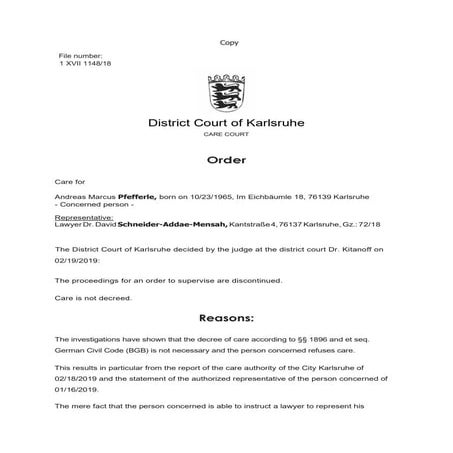 Fake Care Court Order (English version) | PDF