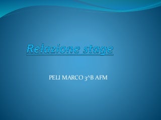Peli marco relazione stage