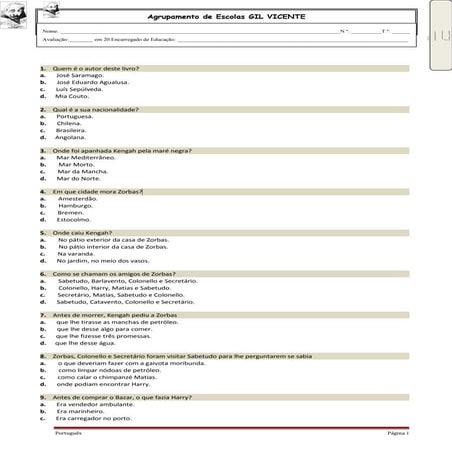 A gaivota e o gato ficha de verificaço de leitura 