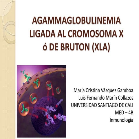 Agammaglobulinemia De Bruton Ligada A X