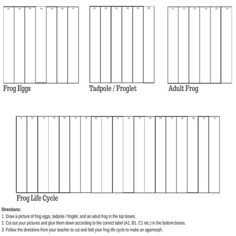 Agamorph frog life cycle worksheet