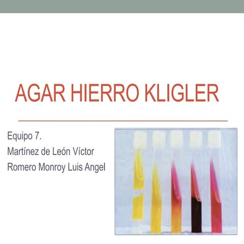 Agar hierro  kligler