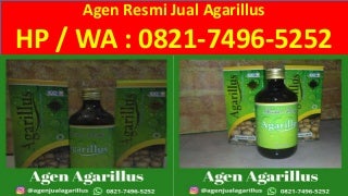 Cara Menjadi Agen Agarillus di Banjarmasin, 0821.7496.5252(Tsel)