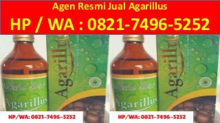 Cara Menjadi Agen Agarillus di Cilegon, 0821.7496.5252(Tsel)
