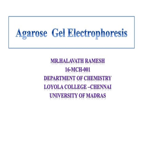 Agarose  gel electrophoresis