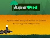 Agaroud - Agarwood oil from Thailand