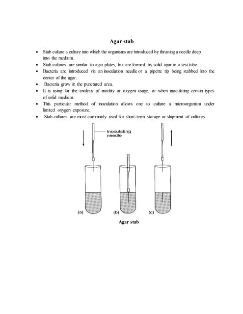 Agar stab