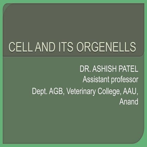 Cell & Its Orgenells