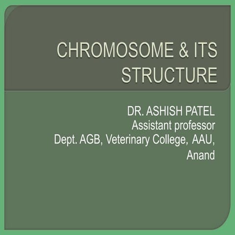 Chromosome and its structure