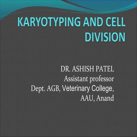 karyotyping and cell division.ppt..