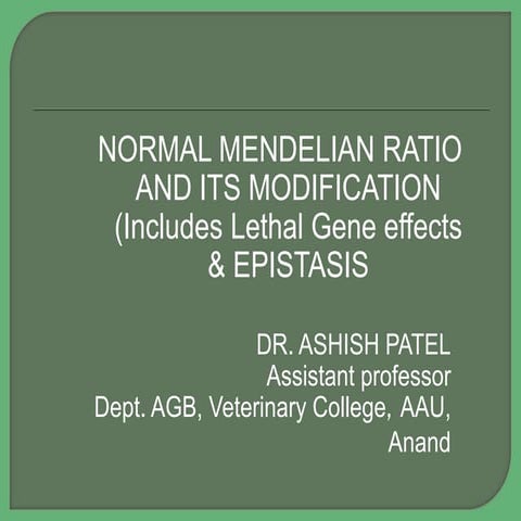 Modification of Normal Mendelian ratios with Lethal gene effcets and Epistasis