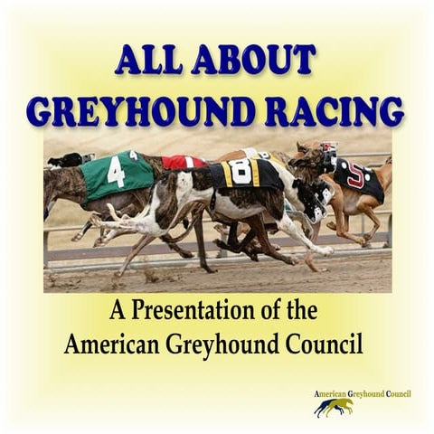 ALL ABOUT GREYHOUND RACING | PPT