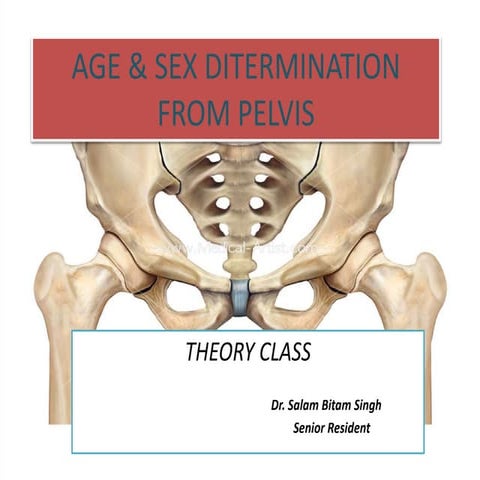 Age and sex ditermination from pelvis 