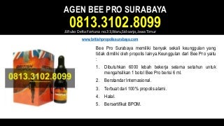 Agen bee pro surabaya - 0813.3102.8099