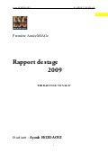 rapport de stage
