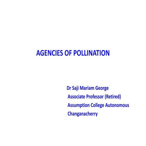 AGENCIES OF POLLINATION    SMG  