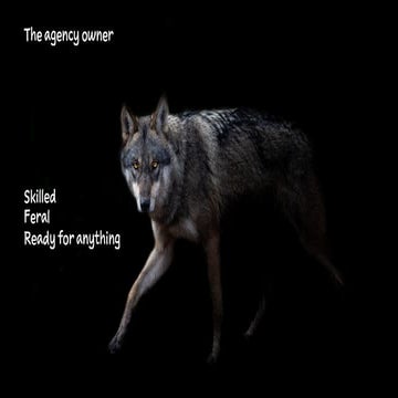Starting, Running, And Selling An Agency: Life Among The Monsters